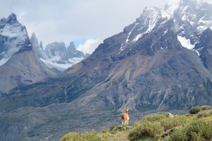 Mirador de los Cuernos del Paine (Jose Ferri)