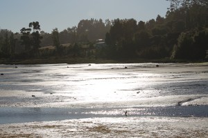 Bordemar Chiloe 3_Jose Ferri