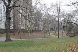 central-park-winter-new-york-jose-ferri
