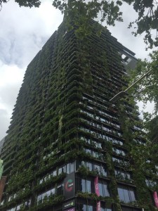 central_park_sydney_2_jose_ferri